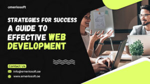 A Guide to Effective Web Development
